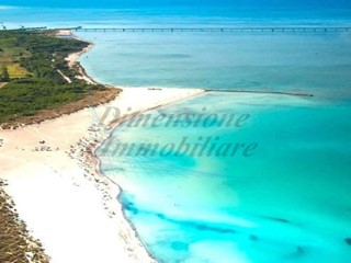 Bilocale in Affitto a Rosignano Marittimo, zona Vada, 650€, 