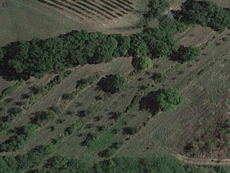 Terreno agricolo in Vendita a San Miniato, zona Borghigiana, 42'000€, 13920 m²
