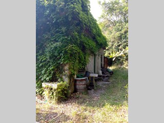 Terreno agricolo in Vendita a Sarzana, 80'000€, 9000 m²