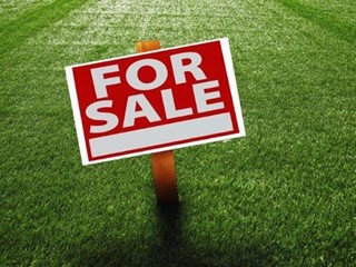 Terreno agricolo in Vendita a Sarzana, 100'000€, 10000 m²