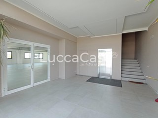 Capannone in Affitto a Lucca, zona San Filippo, 5'200€, 310 m²