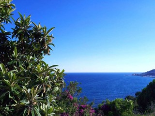 Terreno edificabile in Vendita a Imperia, 148'000€, 75 m²