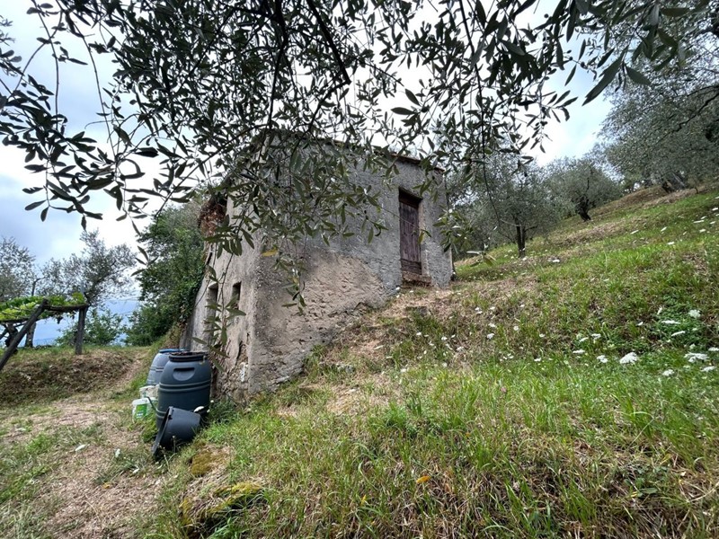 Terreno agricolo in Vendita a Arcola, zona Trebiano, 85'000€, 5000 m²