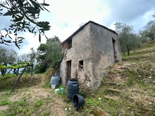 Terreno agricolo in Vendita a Arcola, zona Trebiano, 85'000€, 5000 m²