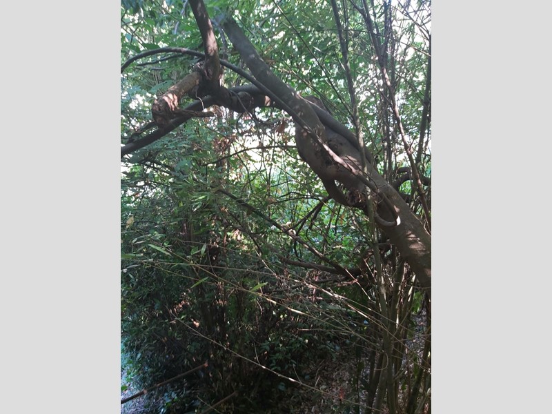 Casa Semi Indipendente in Vendita a Carrara, 400'000€, 600 m², con Box