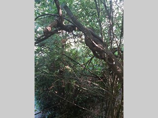 Casa Semi Indipendente in Vendita a Carrara, 400'000€, 600 m², con Box