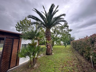 Casa Indipendente in Affitto a Ortona, 30 m²