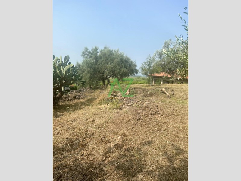 Terreno agricolo in Vendita a Belpasso, 99'000€, 