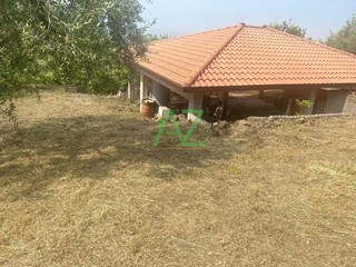 Terreno agricolo in Vendita a Belpasso, 99'000€, 