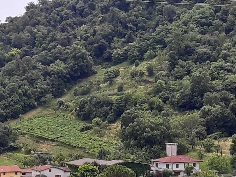 Terreno agricolo in Vendita a Montorso Vicentino, 33'000€, 11463 m²