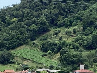 Terreno agricolo in Vendita a Montorso Vicentino, 33'000&euro;, 11463 m²