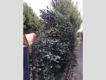 Casa Indipendente in Vendita a Pisa, zona Riglione Oratoio, 125'000€, 40 m²