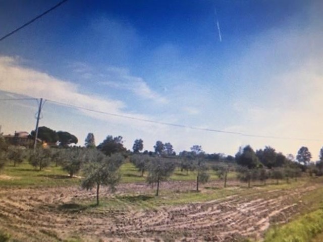 Terreno agricolo in Vendita a Cascina, 45'000€, 10000 m²