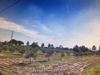 Terreno agricolo in Vendita a Cascina, 45'000€, 10000 m²