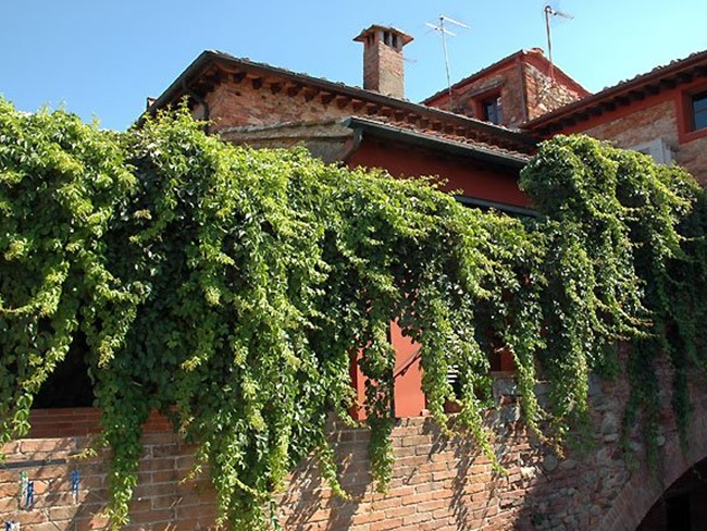 Casale in Vendita a Montecarlo, 449'000€, 334 m²