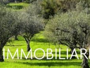 Terreno agricolo in Vendita a San Giuliano Terme, 21'000€, 7000 m²