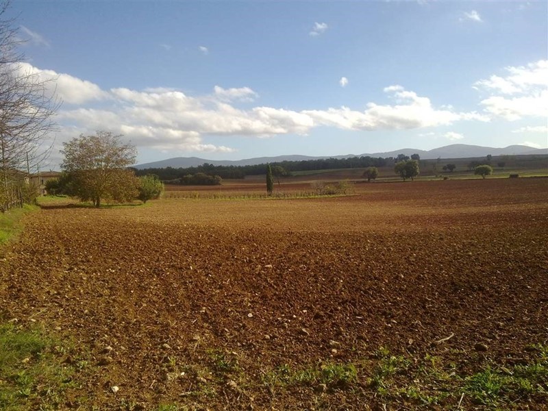 Villa bifamiliare in Vendita a San Gimignano, zona Castel San Gimignano, 250'000€, 6830 m²