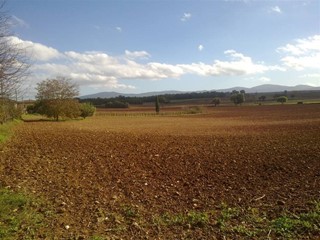 Villa bifamiliare in Vendita a San Gimignano, zona Castel San Gimignano, 250'000€, 6830 m²