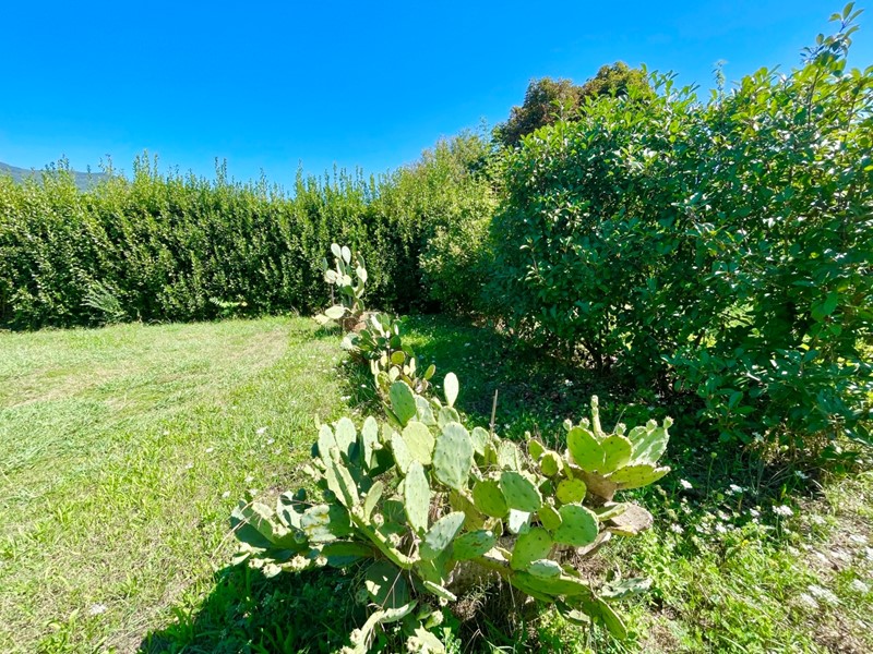 Casa Indipendente in Vendita a Pietrasanta, zona Montiscendi, 295'000€, 100 m²