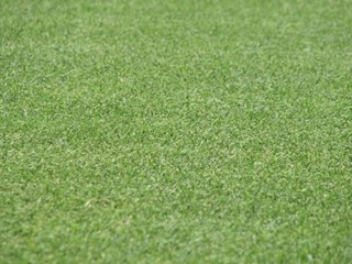 Terreno industriale in Vendita a San Gimignano, zona Badia a Elmi, 850'000€, 35432 m²