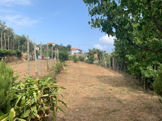Terreno edificabile in Vendita a Vado Ligure, 75'000€, 1500 m²