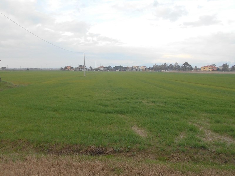 Terreno agricolo in Vendita a Collesalvetti, zona Vicarello, 60'000&euro;, 25000 m²