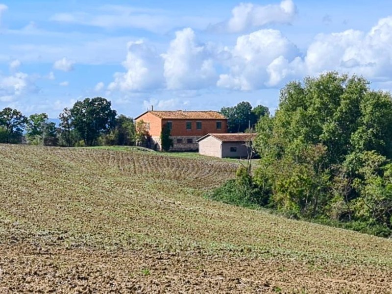 Casale in Vendita a Asciano, 500'000€, 1000 m²