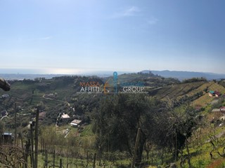 Terreno agricolo in Vendita a Massa, 35'000€, 2346 m²