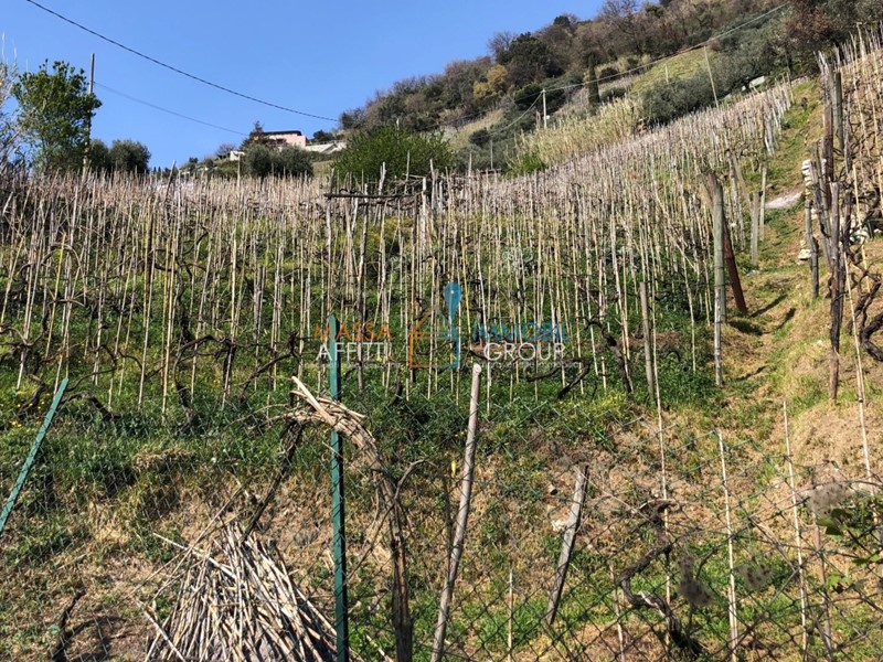 Terreno agricolo in Vendita a Massa, 65'000€, 4094 m²