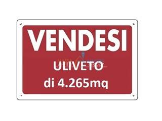 Terreno agricolo in Vendita a Pietrasanta, 180'000€, 4265 m²