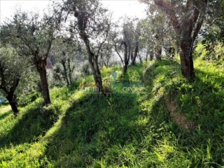 Terreno agricolo in Vendita a Carrara, 65'000€, 1300 m²