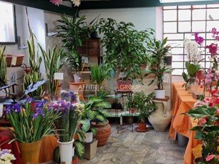 Immobile commerciale in Vendita a Carrara, 125'000€, 100 m², arredato