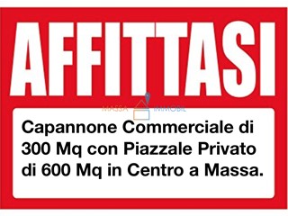 Immobile commerciale in Vendita a Massa, 530'000&euro;, 300 m²