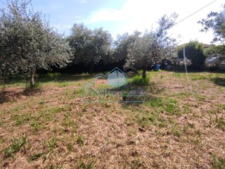 Terreno agricolo in Vendita a Luni, 40'000€, 860 m²