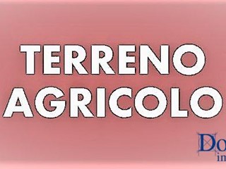 Terreno agricolo in Vendita a Massa, zona Ronchi, 88'000€, 2380 m²