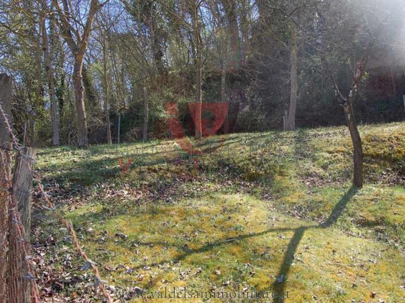 Terreno agricolo in Vendita a Colle di Val D'Elsa, 13'000&euro;, 3000 m²