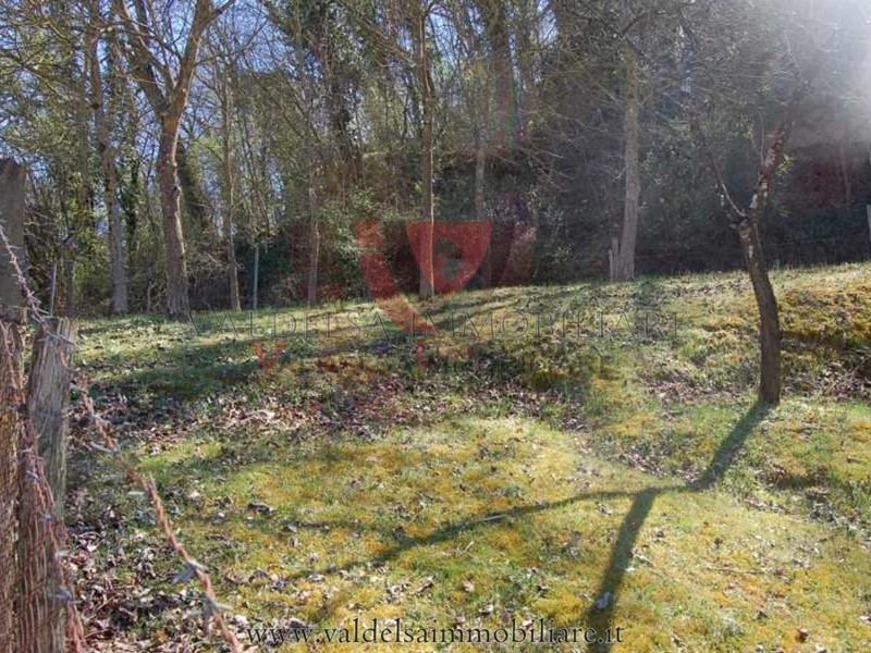 Terreno agricolo in Vendita a Colle di Val D'Elsa, 70'000&euro;, 39500 m²