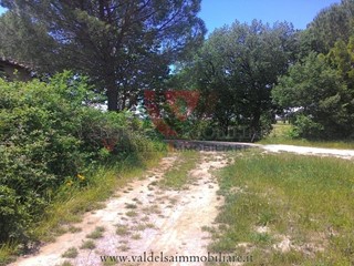 Terreno agricolo in Vendita a Colle di Val D'Elsa, 50'000€, 40000 m²
