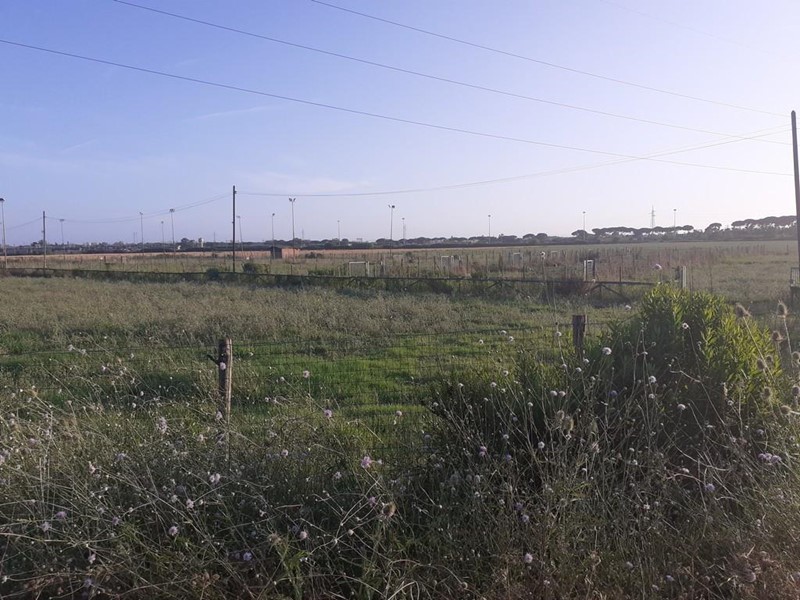 Terreno agricolo in Vendita a Pisa, 110'000&euro;, 12000 m²