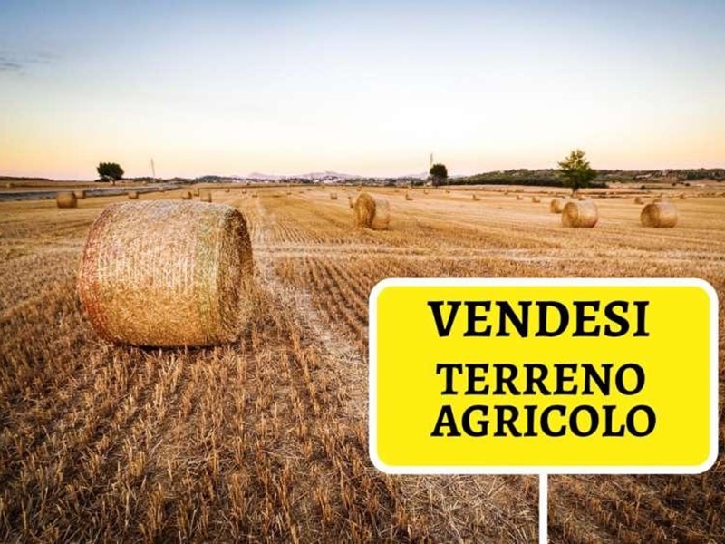 Terreno agricolo in Vendita a Cascina, zona Latignano, 20'000€, 10640 m²