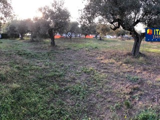 Terreno agricolo in Vendita a Città Sant'Angelo, 65'000€, 1600 m²