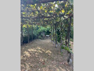 Casa Indipendente in Vendita a Ameglia, zona Montemarcello, 200'000&euro;, 20 m²