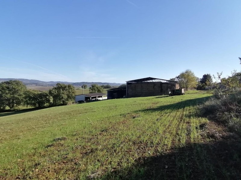 Casale in Vendita a Manciano, zona Saturnia, 1'400'000€, 200 m², con Box