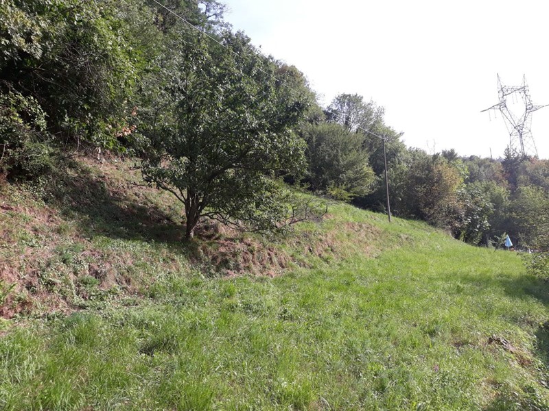 Terreno edificabile in Vendita a Serra Riccò, 45'000€, 3000 m²