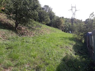 Terreno edificabile in Vendita a Serra Riccò, 45'000€, 3000 m²