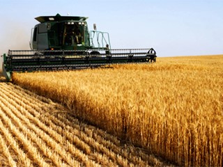 Terreno agricolo in Vendita a Correzzola, 17'000€, 39500 m²