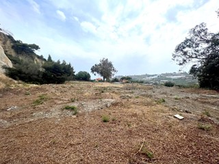Terreno agricolo in Vendita a Sanremo, zona Bussana, 120'000€, 8500 m²