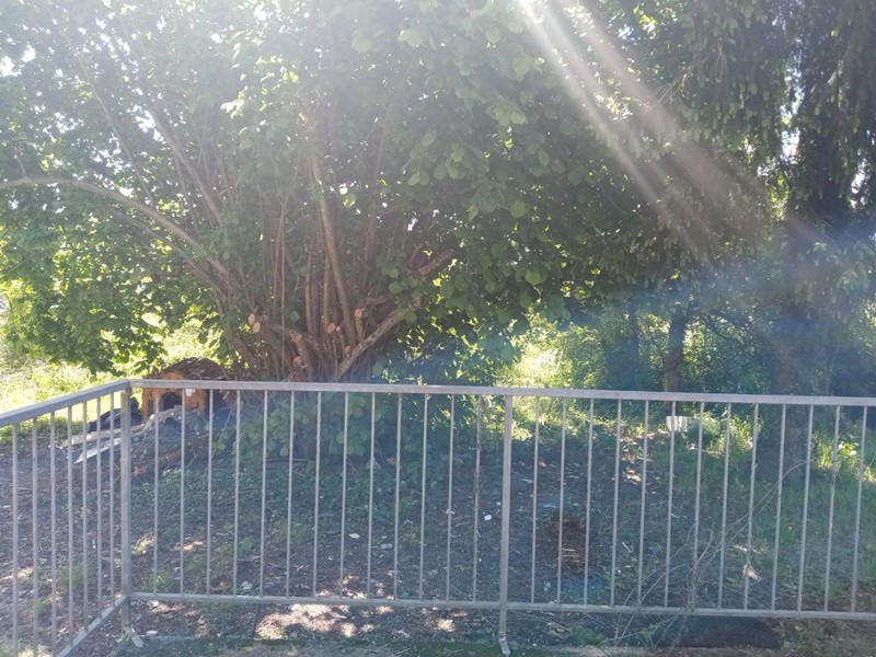 Casa Semi Indipendente in Vendita a Licciana Nardi, zona Monti, 60'000€, 80 m²