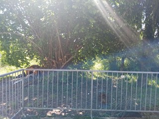 Casa Semi Indipendente in Vendita a Licciana Nardi, zona Monti, 60'000€, 80 m²