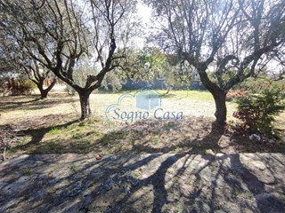 Villa in Vendita a Luni, 395'000€, 240 m²